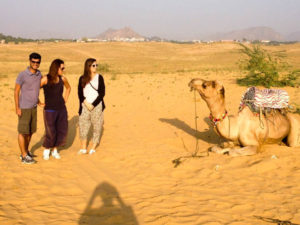 Kamele und wir in der Wüste in Pushkar