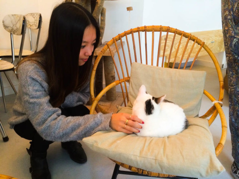 Cat Cafe in Amsterdam Time for some Cuddling