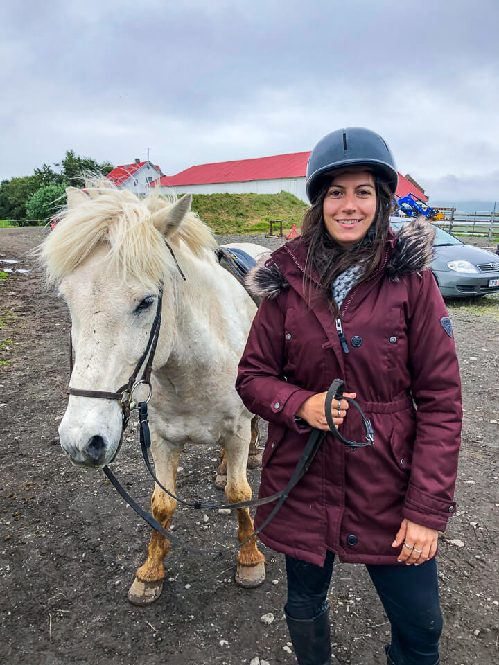 Iceland horse tours