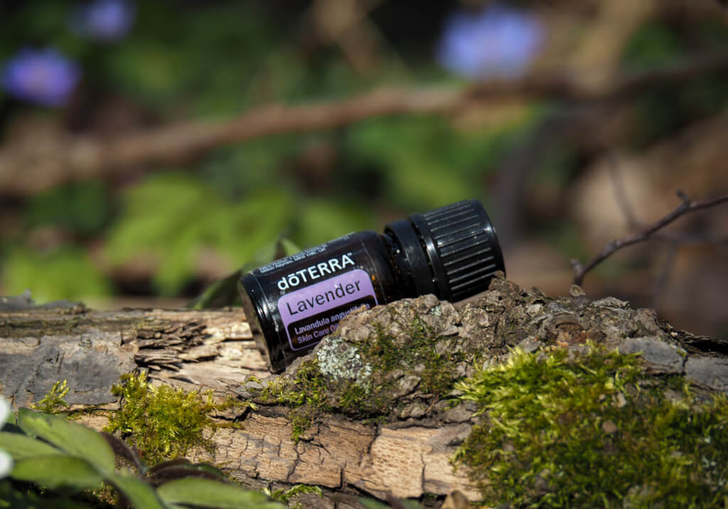 dōTERRA-essential-oil-lavender