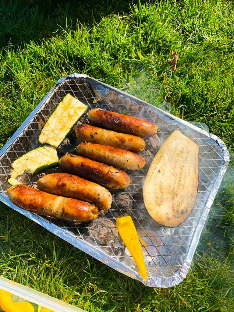 BBQ-in-the-park-in-Amsterdam